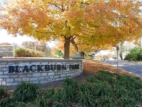 457 E Jackson, Saint Louis, MO 63119 photo 14