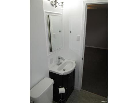 803 Bromfield Ter, Manchester, MO 63021 photo 19