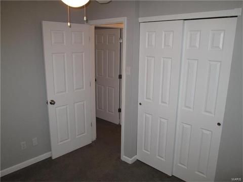 803 Bromfield Ter, Manchester, MO 63021 photo 23