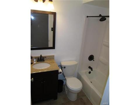 803 Bromfield Ter, Manchester, MO 63021 photo 13