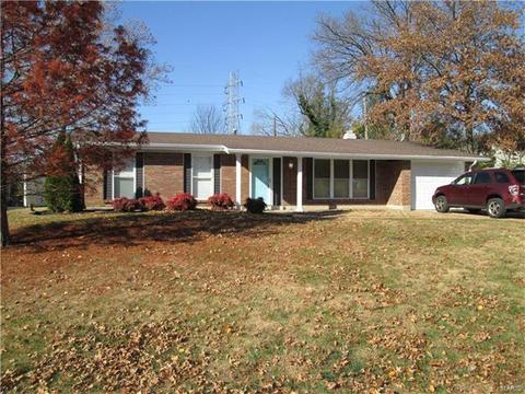 803 Bromfield Ter, Manchester, MO 63021 photo 26