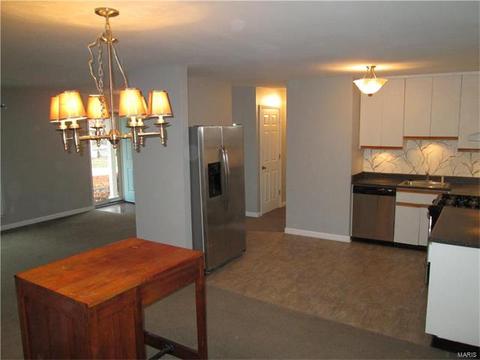 803 Bromfield Ter, Manchester, MO 63021 photo 9