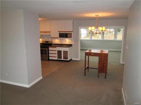 803 Bromfield Ter, Manchester, MO 63021 photo 6