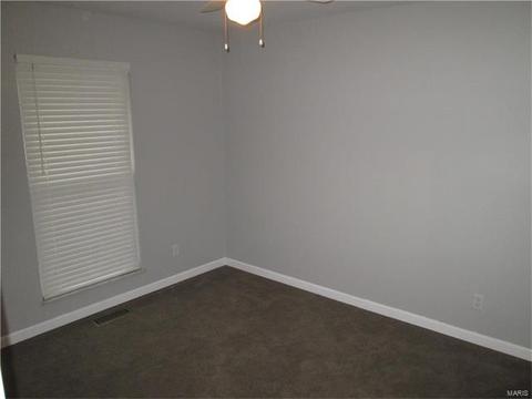 803 Bromfield Ter, Manchester, MO 63021 photo 20