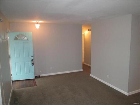 803 Bromfield Ter, Manchester, MO 63021 photo 5