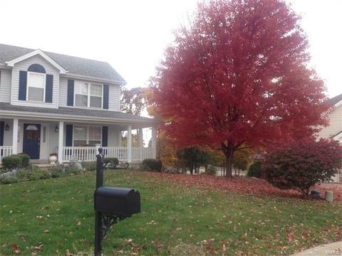 1307 Brighton Crest Dr, O'fallon, MO 63366 photo 24
