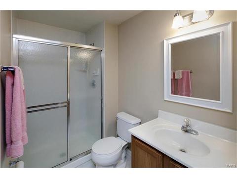 1307 Brighton Crest Dr, O'fallon, MO 63366 photo 19