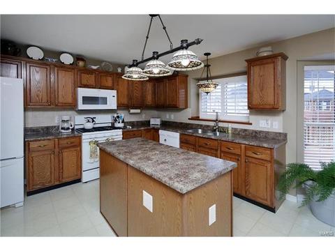 1307 Brighton Crest Dr, O'fallon, MO 63366 photo 4