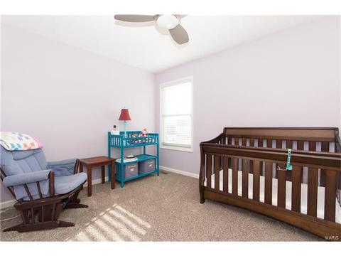 48 Red Brk, O'fallon, MO 63366 photo 21