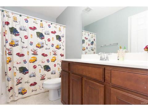 48 Red Brk, O'fallon, MO 63366 photo 22