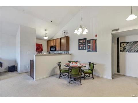 8301 Spring Creek Ln, O'fallon, MO 63368 photo 10