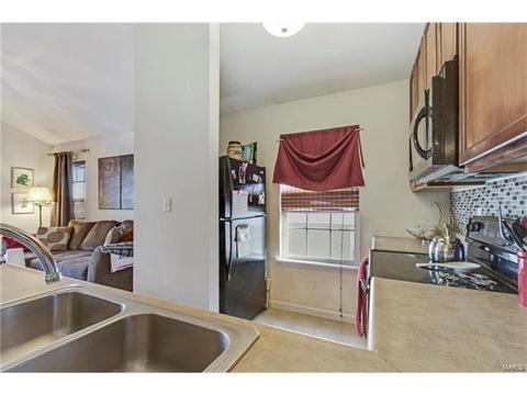 8301 Spring Creek Ln, O'fallon, MO 63368 photo 14