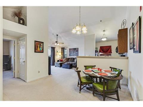 8301 Spring Creek Ln, O'fallon, MO 63368 photo 18