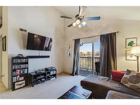 8301 Spring Creek Ln, O'fallon, MO 63368 photo 16