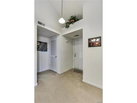 8301 Spring Creek Ln, O'fallon, MO 63368 photo 11