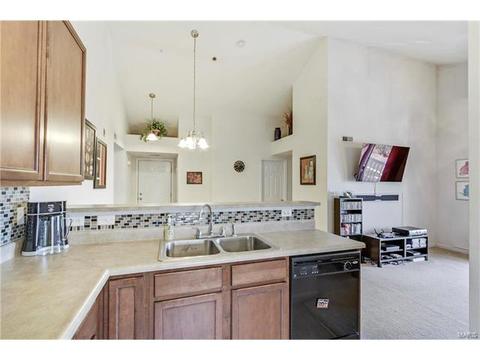 8301 Spring Creek Ln, O'fallon, MO 63368 photo 13