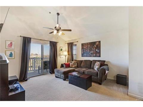 8301 Spring Creek Ln, O'fallon, MO 63368 photo 15