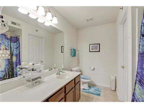 8301 Spring Creek Ln, O'fallon, MO 63368 photo 21