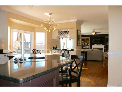 206 Fox Haven Ct, O'fallon, MO 63368 photo 17