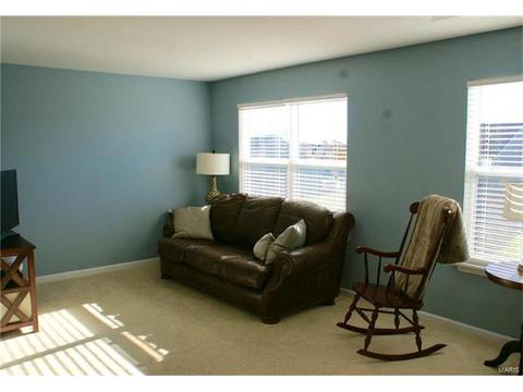 206 Fox Haven Ct, O'fallon, MO 63368 photo 23