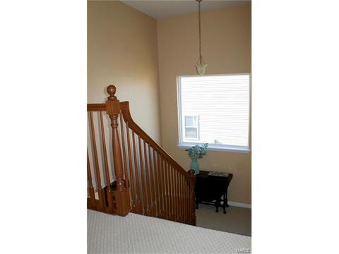 206 Fox Haven Ct, O'fallon, MO 63368 photo 20