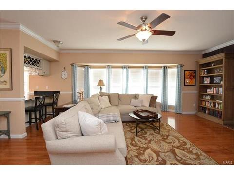 206 Fox Haven Ct, O'fallon, MO 63368 photo 10