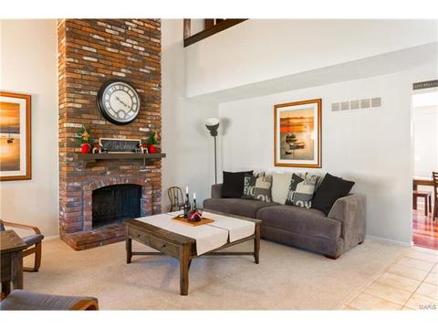 822 Samone Ct, Manchester, MO 63021 photo 6