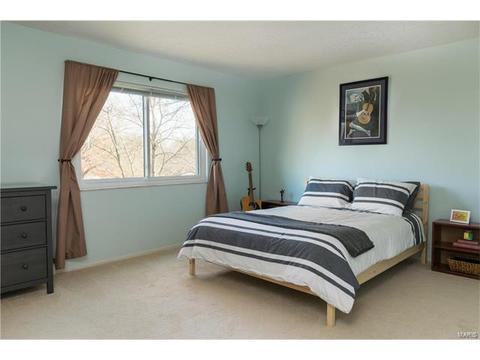 822 Samone Ct, Manchester, MO 63021 photo 13