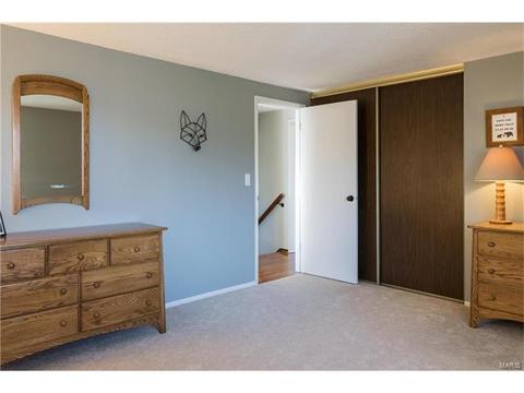 822 Samone Ct, Manchester, MO 63021 photo 21
