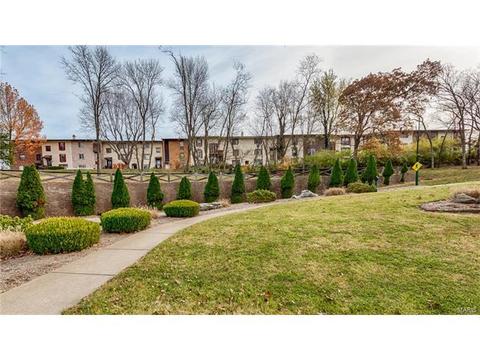 346 Carmel Woods Dr, Ellisville, MO 63021 photo 22