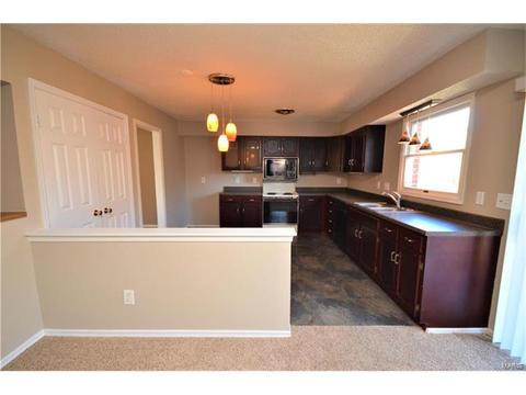 124 Tara Ridge Ct, Ballwin, MO 63021 photo 10