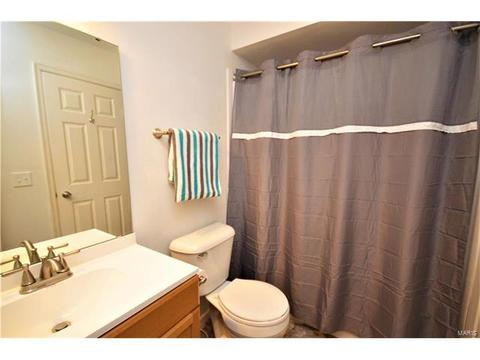 124 Tara Ridge Ct, Ballwin, MO 63021 photo 17