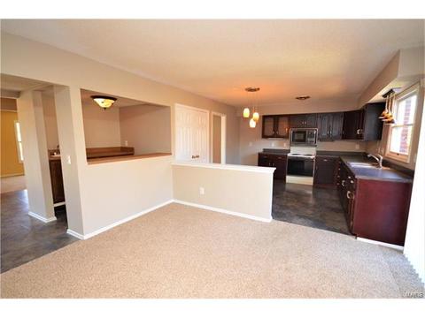 124 Tara Ridge Ct, Ballwin, MO 63021 photo 12