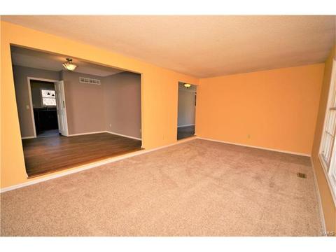 124 Tara Ridge Ct, Ballwin, MO 63021 photo 4