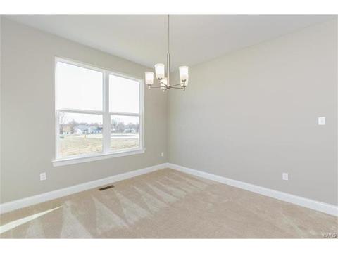 127 Grenache Ct, O'fallon, MO 63368 photo 21
