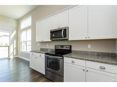127 Grenache Ct, O'fallon, MO 63368 photo 13