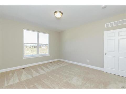 127 Grenache Ct, O'fallon, MO 63368 photo 27