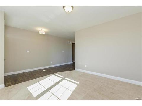 127 Grenache Ct, O'fallon, MO 63368 photo 19