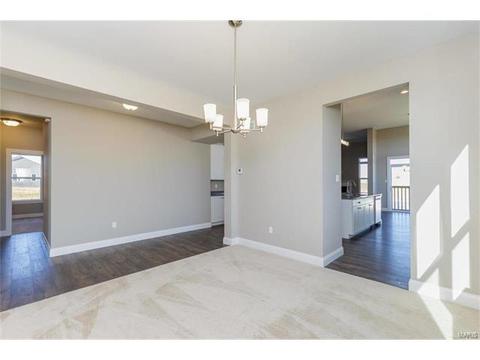 127 Grenache Ct, O'fallon, MO 63368 photo 22