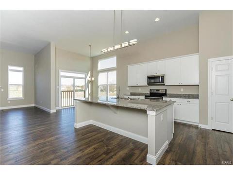 127 Grenache Ct, O'fallon, MO 63368 photo 23