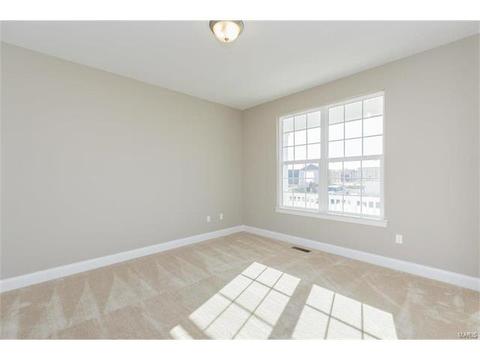 127 Grenache Ct, O'fallon, MO 63368 photo 9