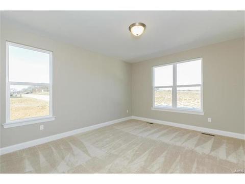 127 Grenache Ct, O'fallon, MO 63368 photo 16