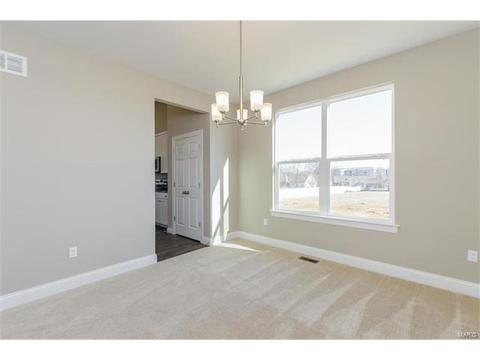 127 Grenache Ct, O'fallon, MO 63368 photo 20