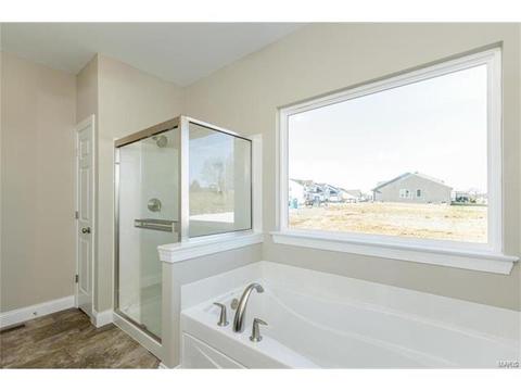 127 Grenache Ct, O'fallon, MO 63368 photo 17