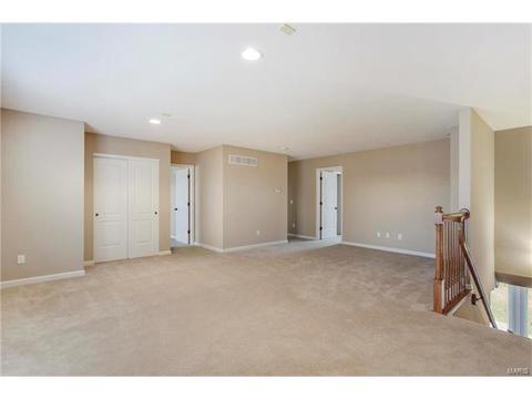 315 Tall Timber Meadows Dr, Ballwin, MO 63021 photo 25