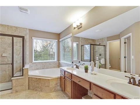 315 Tall Timber Meadows Dr, Ballwin, MO 63021 photo 19
