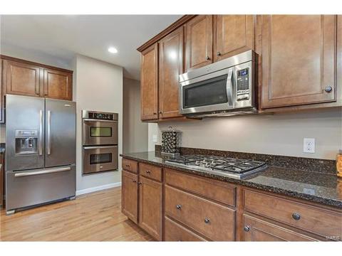 315 Tall Timber Meadows Dr, Ballwin, MO 63021 photo 14