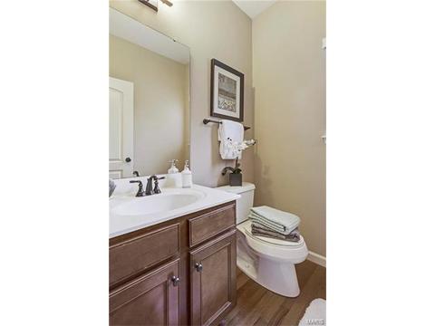 315 Tall Timber Meadows Dr, Ballwin, MO 63021 photo 16