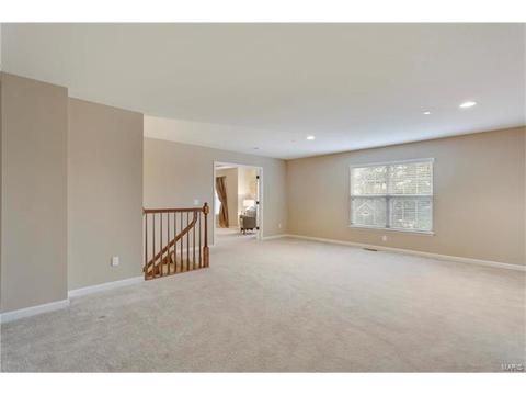315 Tall Timber Meadows Dr, Ballwin, MO 63021 photo 24