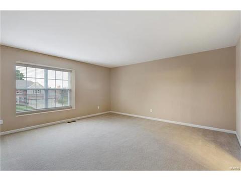 315 Tall Timber Meadows Dr, Ballwin, MO 63021 photo 26